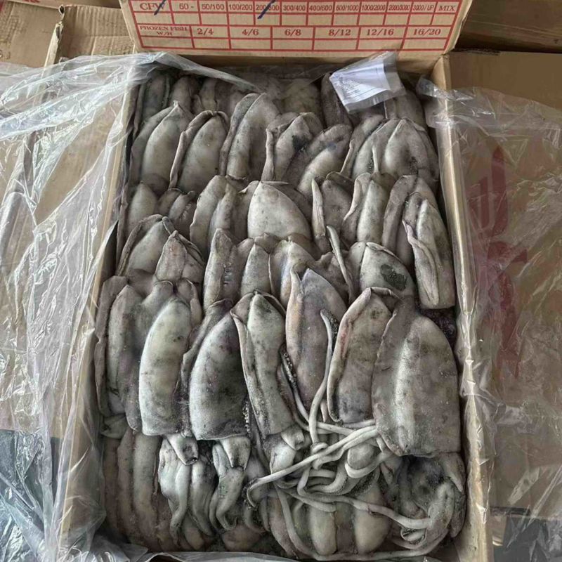 墨鱼纯干水300/400