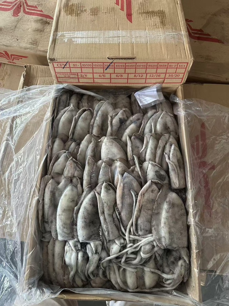 墨鱼纯干水300/400