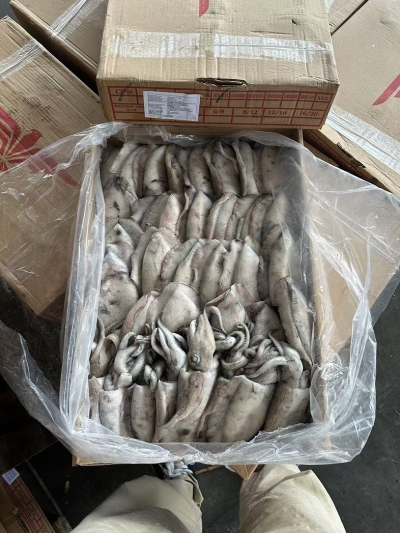 墨鱼纯干水300/400