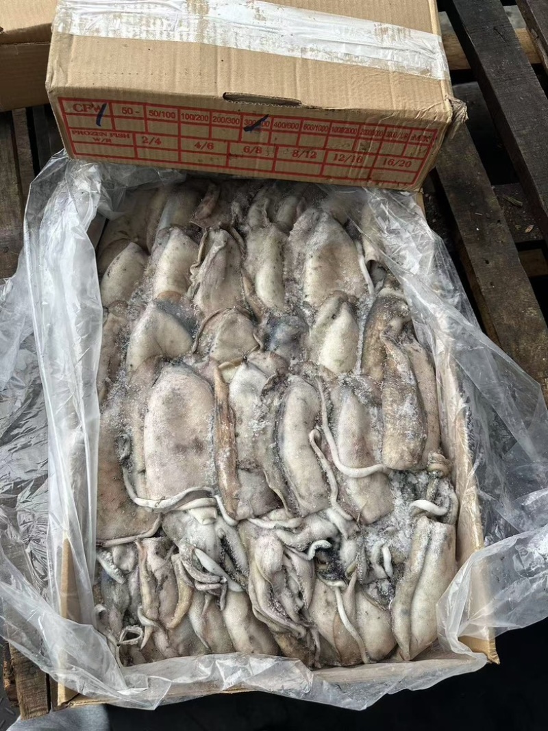 墨鱼纯干水300/400
