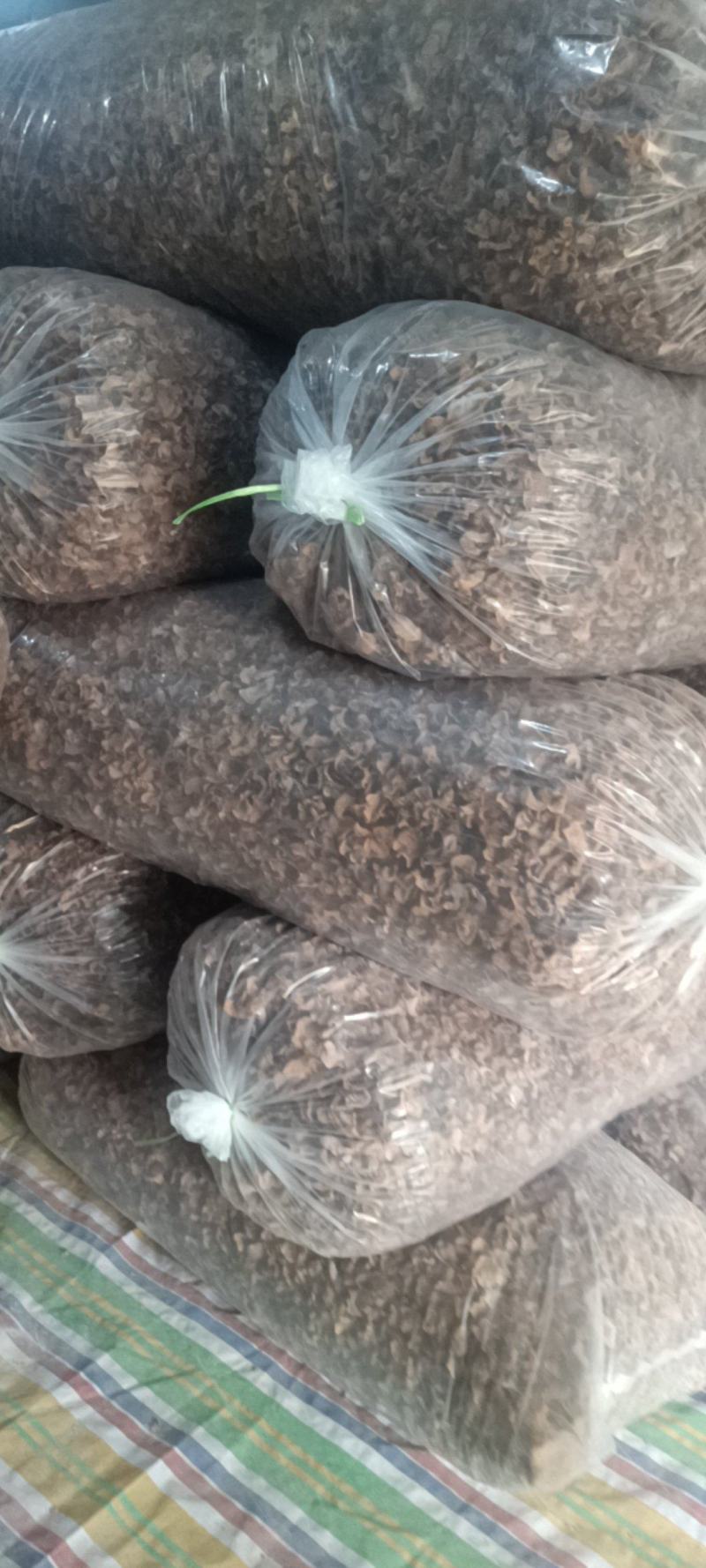 羊肚耳产地沙耳菌基地椴木羊肚耳长期有货羊肚耳批发零售