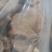 羊肚耳产地沙耳菌基地椴木羊肚耳长期有货羊肚耳批发零售