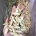 高品质黄芪，价格优惠，一手货源，质量保证