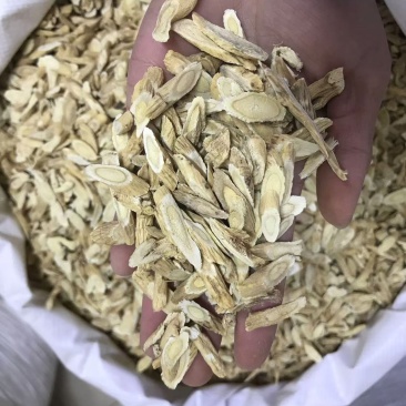 高品质黄芪，价格优惠，一手货源，质量保证