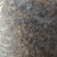 羊肚耳产地沙耳菌基地椴木羊肚耳长期有货羊肚耳批发零售