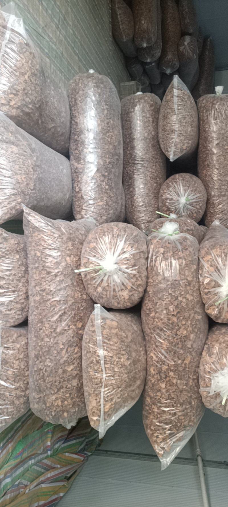 羊肚耳产地沙耳菌基地椴木羊肚耳长期有货羊肚耳批发零售