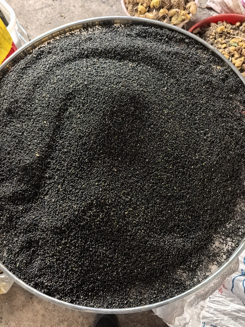 大通草种子