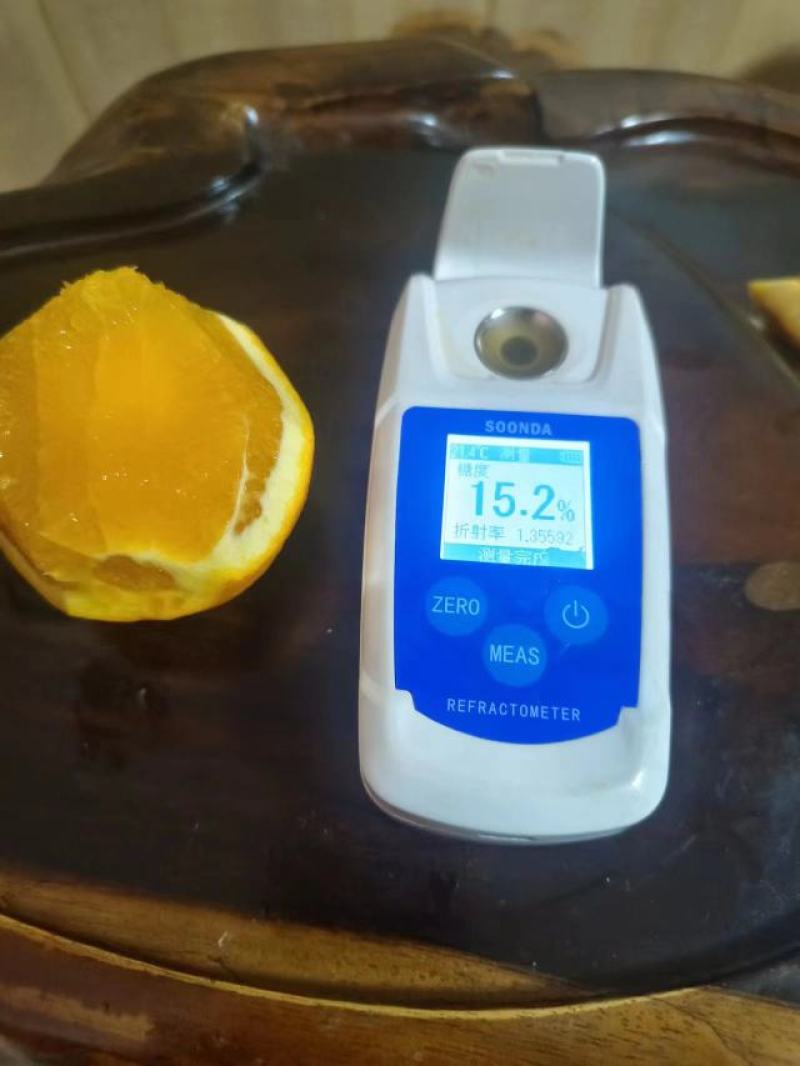 广西桂林纽荷尔脐橙，对接电商，批发市场，商超，可视频看货
