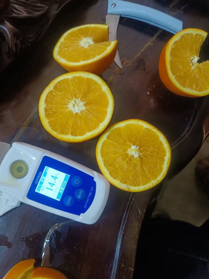 广西桂林纽荷尔脐橙，对接电商，批发市场，商超，可视频看货