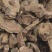 同奎药材大黄川军量大从优水根大黄批发各种中药材
