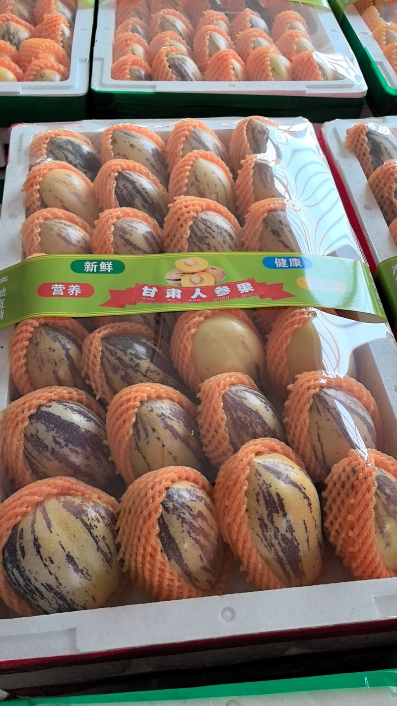 甘肃人参果产地直发支持整车落地配支持一件代