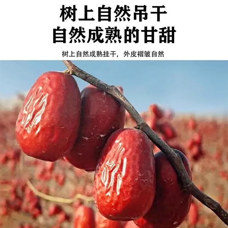 2024年灰枣新疆若羌正宗灰枣吊干零食清洗原生态灰枣批发