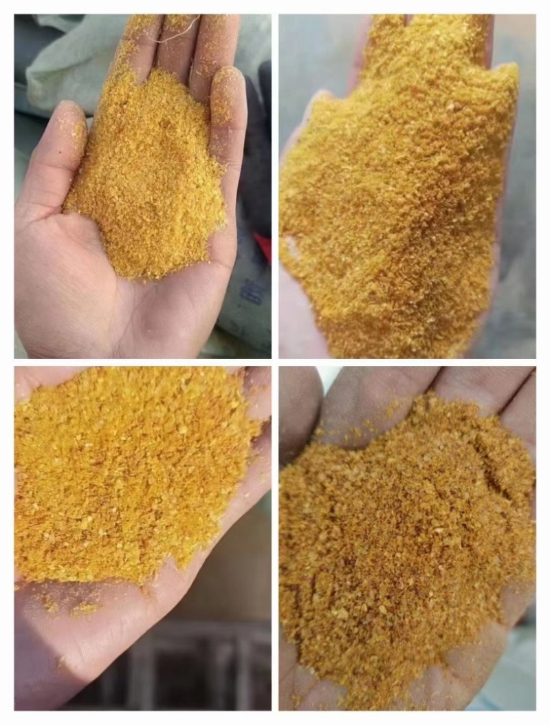 玉米酒糟DDGS保毒素可代替大部分粗粮蛋白26