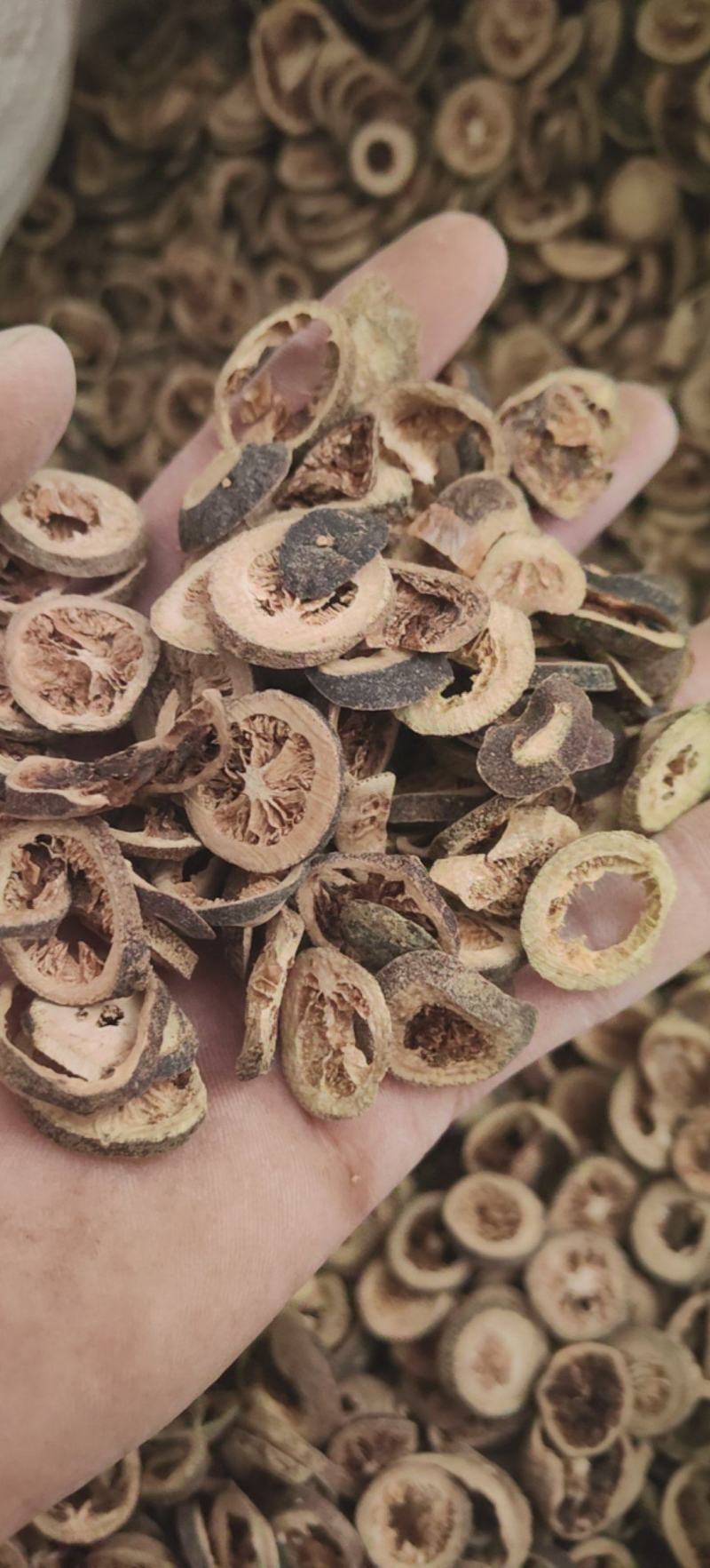 青皮小青皮四花青皮康辰药业批发各种中药材量大从优