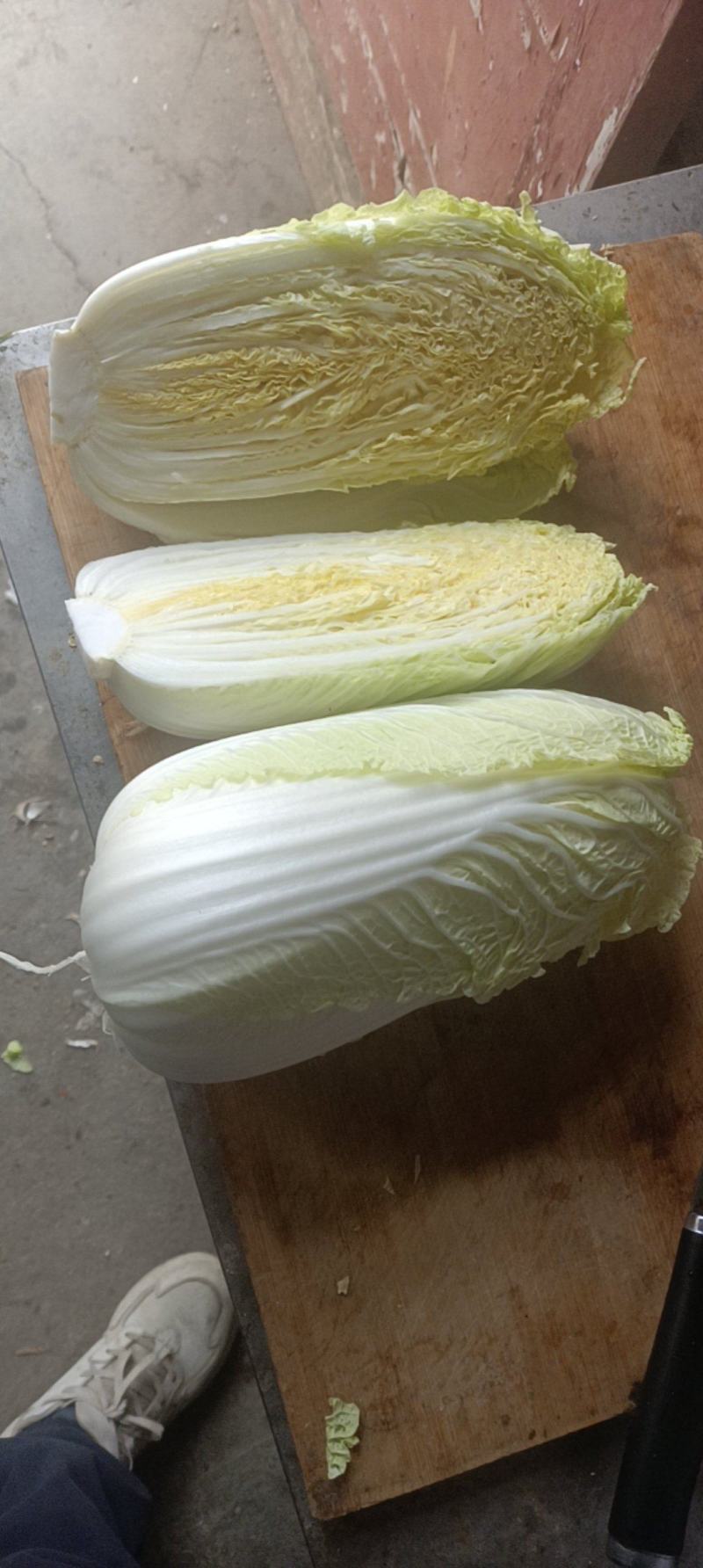 精品娃娃菜