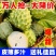 释迦果牛奶凤梨释迦果当季新鲜番荔枝大目释迦果