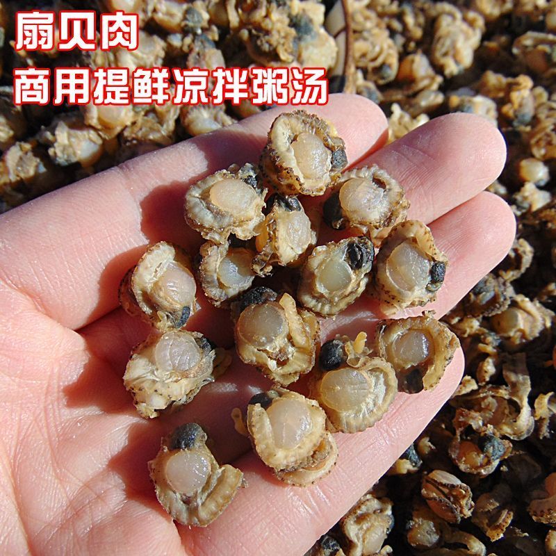 全贝肉，干扇贝柱新鲜干贝瑶柱海鲜干货煲粥汤商用