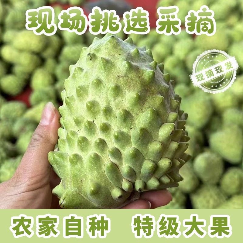 一件代发释迦果新鲜大番荔枝林檎佛头果摩尼果牛奶凤梨释迦