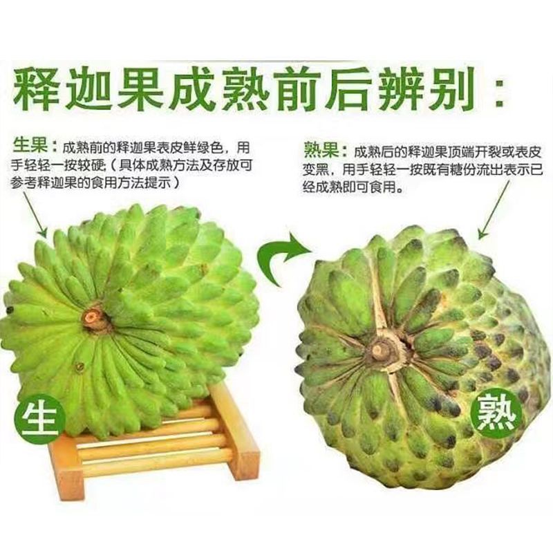 一件代发释迦果新鲜大番荔枝林檎佛头果摩尼果牛奶凤梨释迦