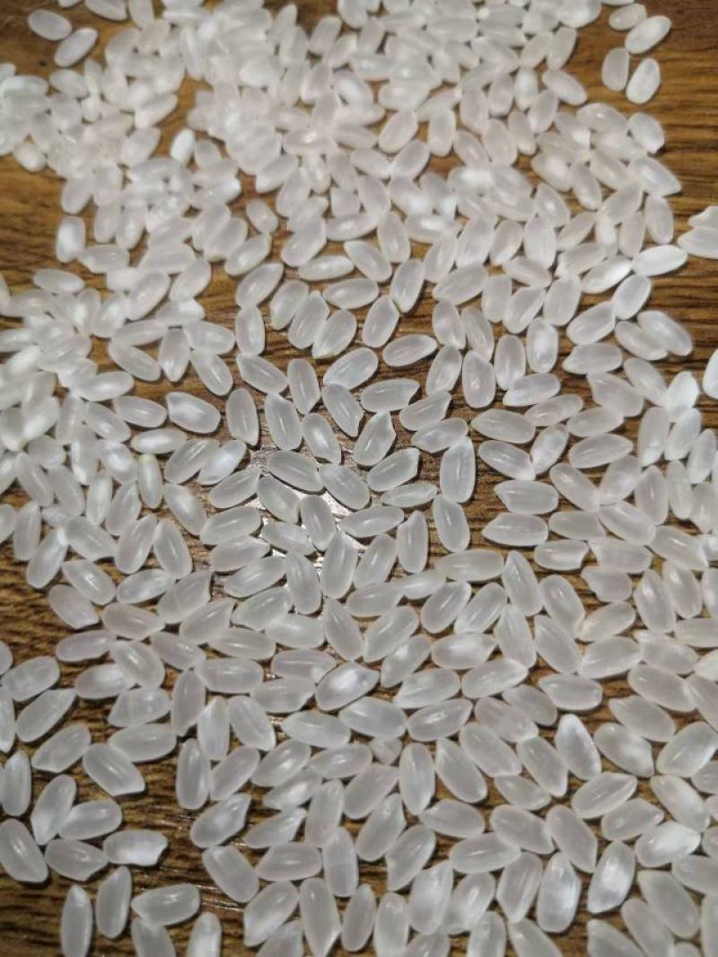 东北小长粒香大米