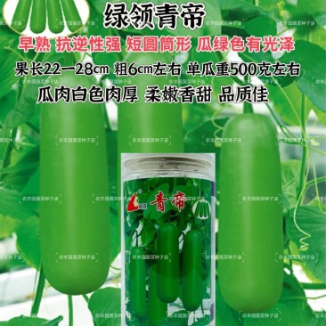 绿领青帝瓠瓜种子早熟短棒肉厚瓠瓜种子柔嫩香甜抗逆性强瓠瓜