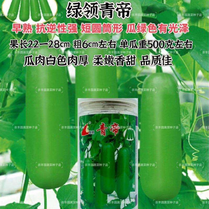 绿领青帝瓠瓜种子早熟短棒肉厚瓠瓜种子柔嫩香甜抗逆性强瓠瓜