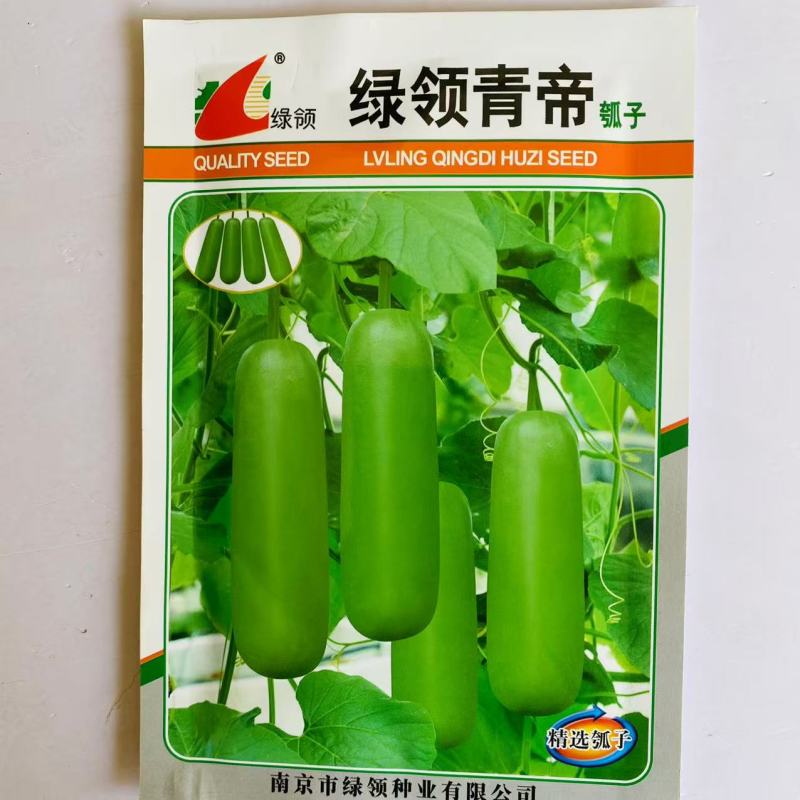 绿领青帝瓠瓜种子早熟短棒肉厚瓠瓜种子柔嫩香甜抗逆性强瓠瓜