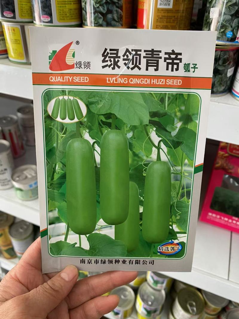 绿领青帝瓠瓜种子早熟短棒肉厚瓠瓜种子柔嫩香甜抗逆性强瓠瓜