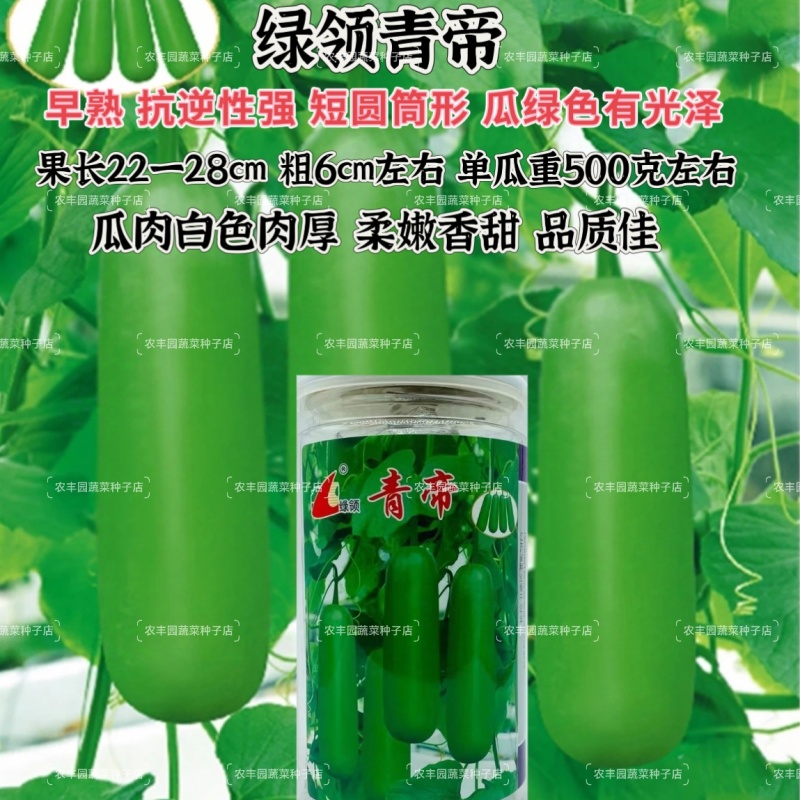 绿领青帝瓠瓜种子早熟短棒肉厚瓠瓜种子柔嫩香甜抗逆性强瓠瓜