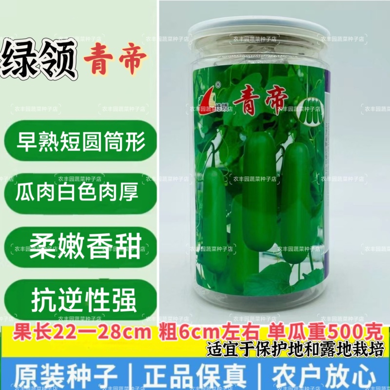 绿领青帝瓠瓜种子早熟短棒肉厚瓠瓜种子柔嫩香甜抗逆性强瓠瓜
