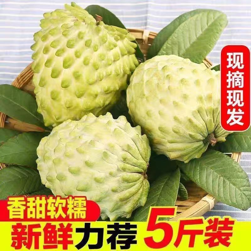 牛奶凤梨释迦果当季热带新鲜现摘番荔枝佛头果孕妇水果整箱批发