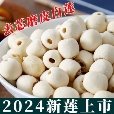 2024新莲上市莲子干货特级无磺莲子新鲜磨皮白莲野生