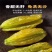 精选】正品新疆葡萄干大颗无籽无沙零食蜜饯干果