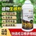 生根壮苗剂促进生根，生根快，好成活，主根健壮，侧根密集