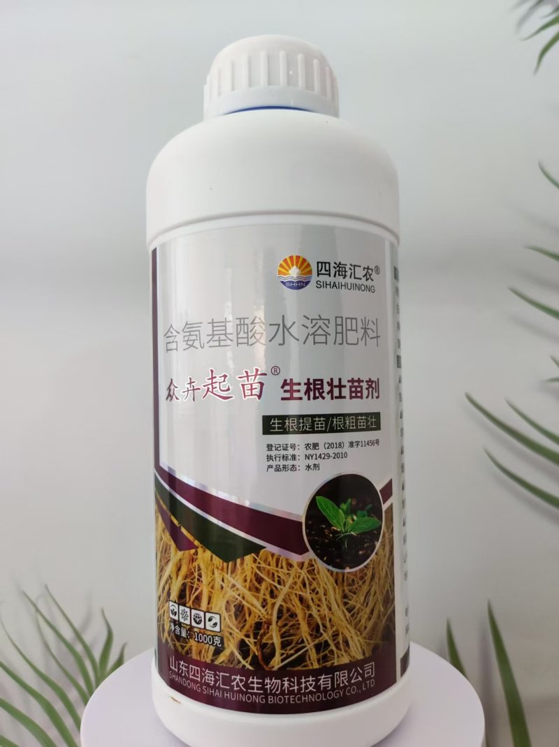 生根壮苗剂促进生根，生根快，好成活，主根健壮，侧根密集