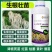 生根壮苗剂促进生根，生根快，好成活，主根健壮，侧根密集
