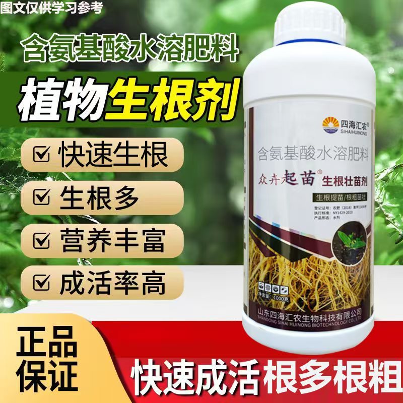 生根壮苗剂促进生根，生根快，好成活，主根健壮，侧根密集