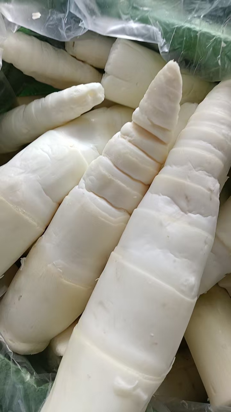 英德麻竹笋