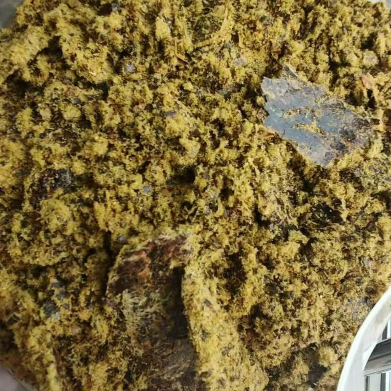 山东聊城临清县厂家直发全脂棉籽饼，可供养殖户加工厂一手货