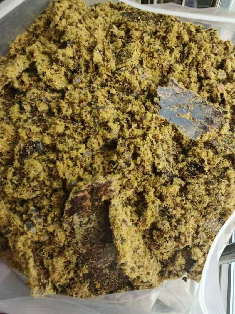 山东聊城临清县厂家直发全脂棉籽饼，可供养殖户加工厂一手货