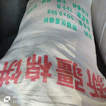 新疆全脂棉籽饼厂家货源可协助找车可实地考察全国发货