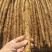 河北铁棍山药价格优惠质量好对接全国量大从优欢迎采购