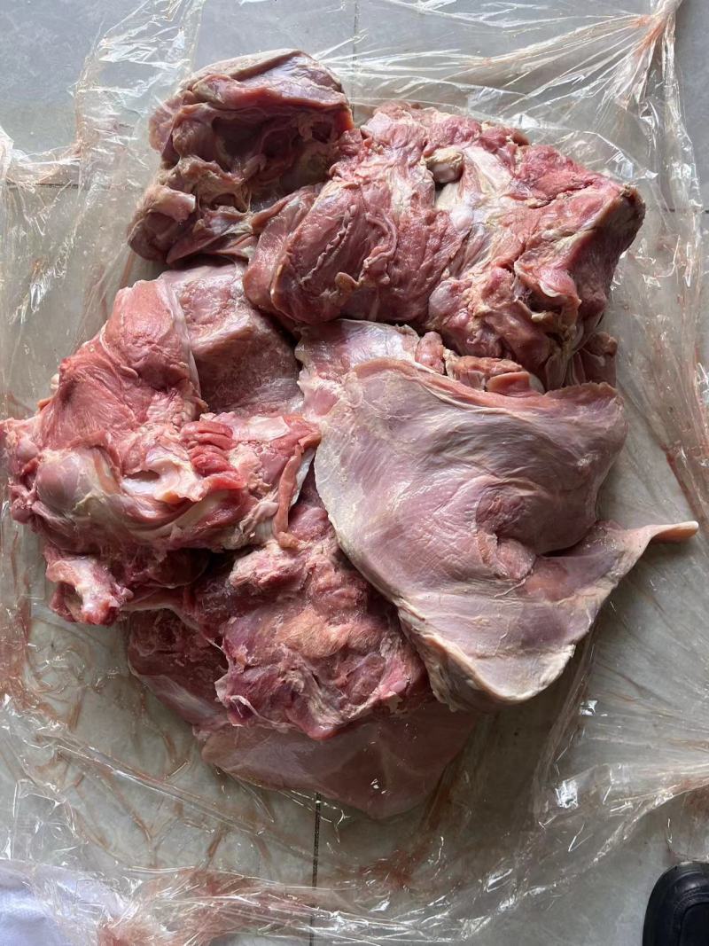 国产小牛牛前肉块形大瘦度高质优价廉一件也是批发价