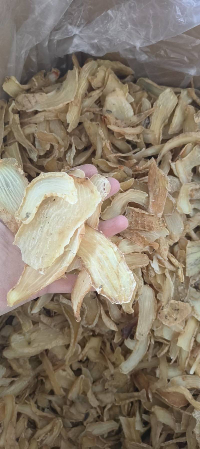 天麻片鲜切片祥泰药材栈中药材批发零售实物拍摄量多从优