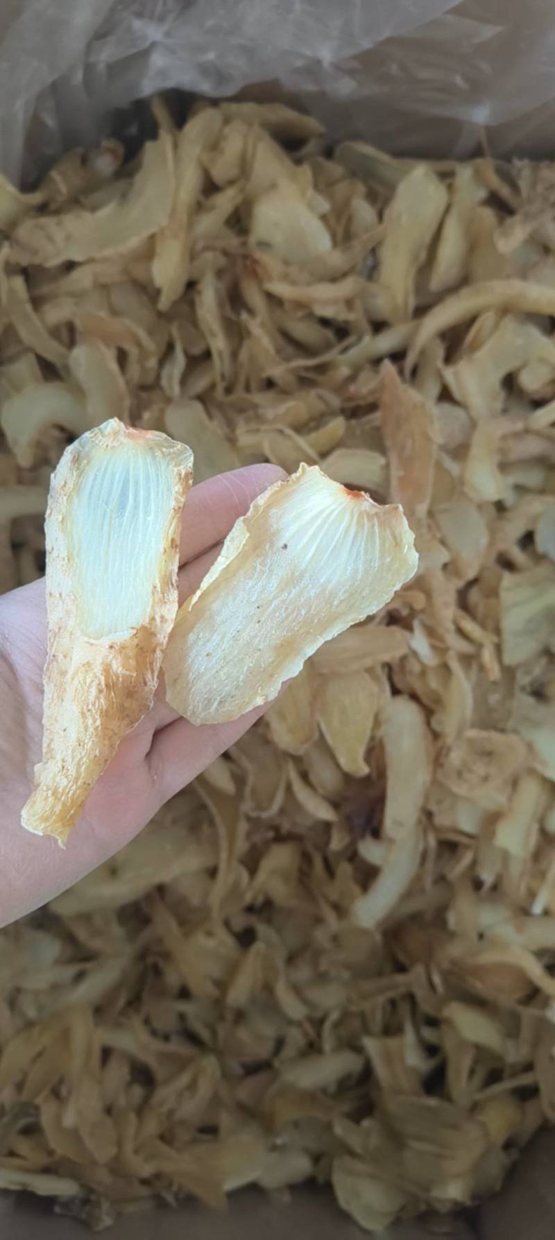 天麻片鲜切片祥泰药材栈中药材批发零售实物拍摄量多从优
