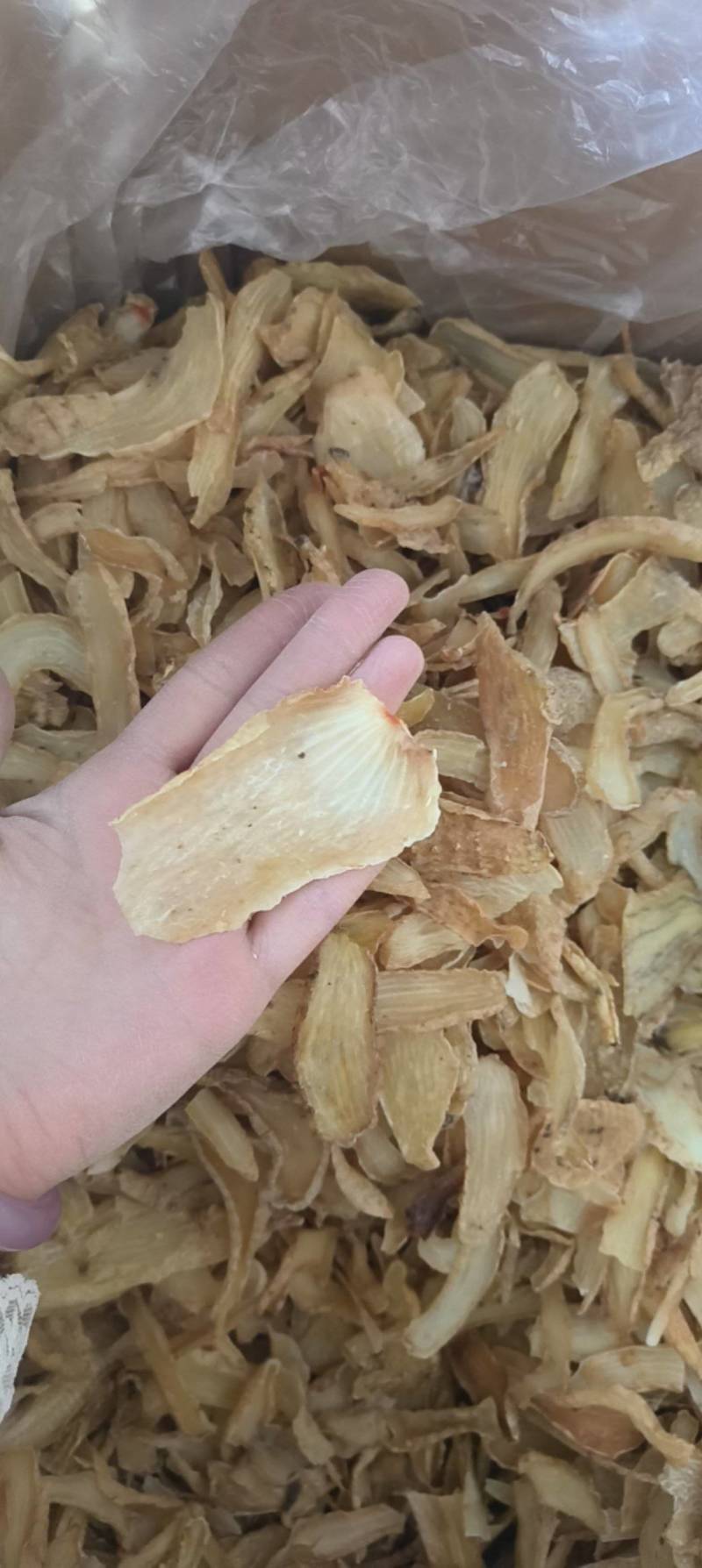 天麻片鲜切片祥泰药材栈中药材批发零售实物拍摄量多从优