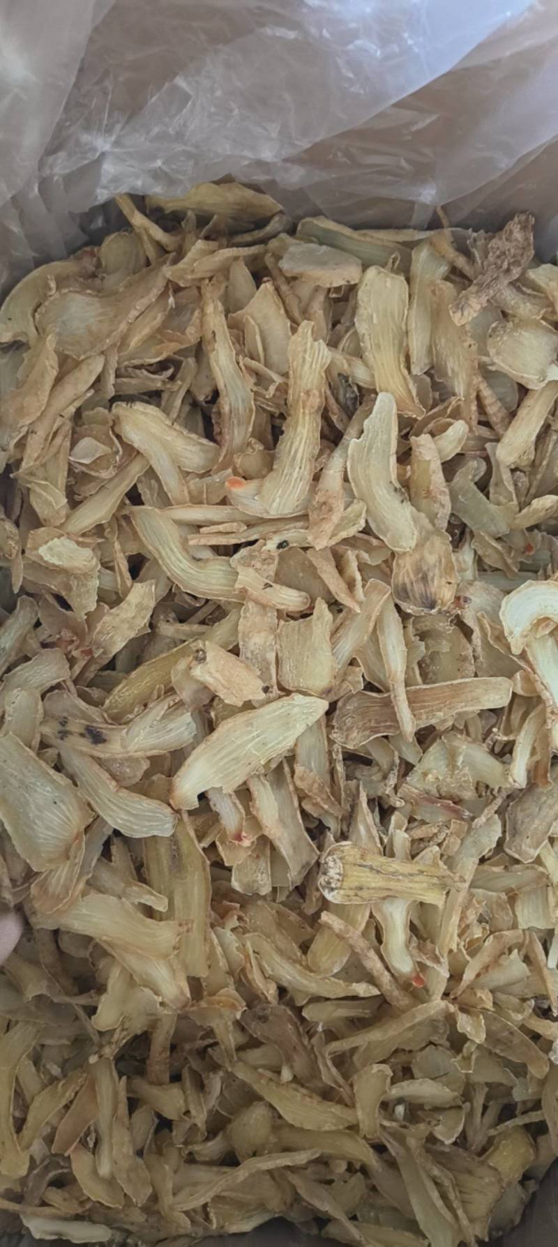 天麻片鲜切片祥泰药材栈中药材批发零售实物拍摄量多从优