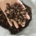 羌活种植祥泰药材栈中药材批发零售实物拍摄量多从优