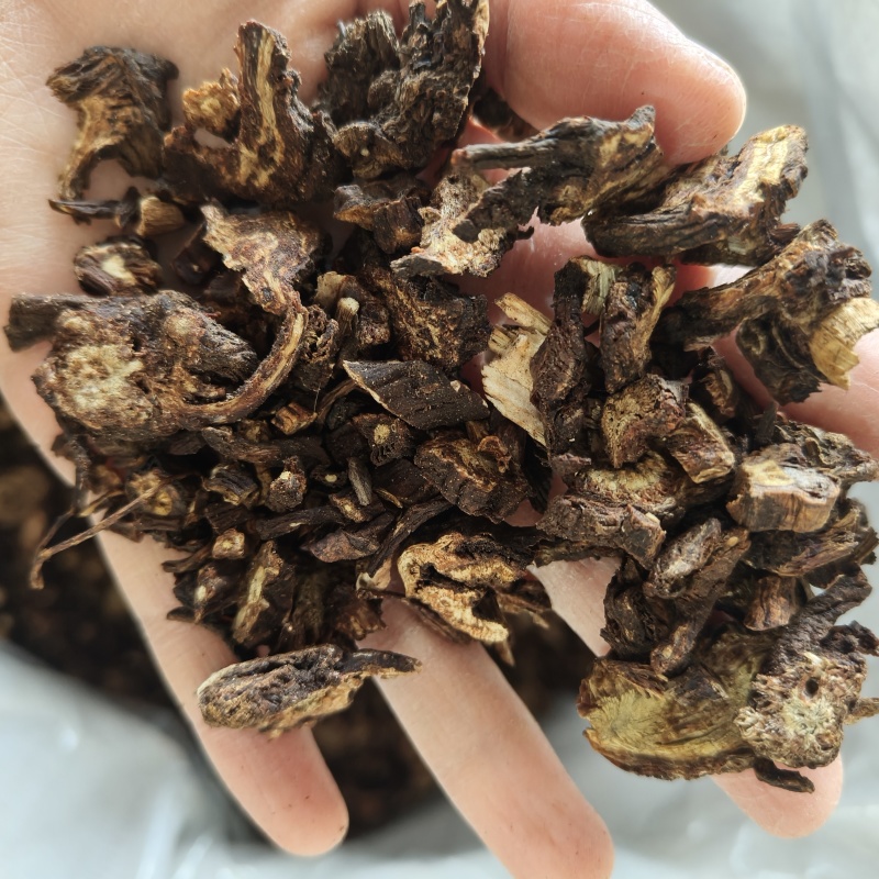 羌活种植祥泰药材栈中药材批发零售实物拍摄量多从优