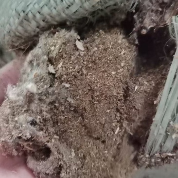 长期供应食用菌种植户棉渣，确保质量，量大从优